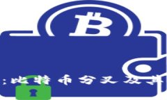 Tokenim钱包：比特币分叉及其应用全面解析