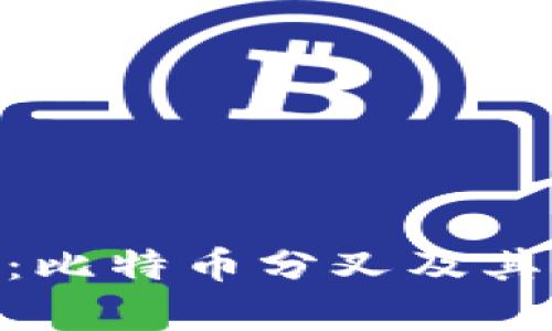 Tokenim钱包：比特币分叉及其应用全面解析