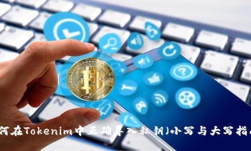 如何在Tokenim中正确导入私钥（小写与大写指南）