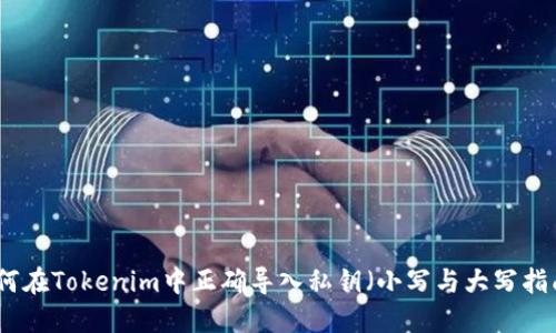 如何在Tokenim中正确导入私钥（小写与大写指南）
