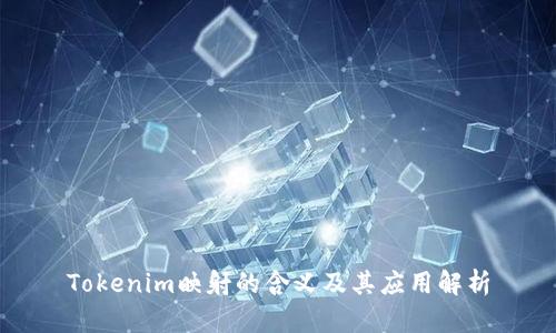 Tokenim映射的含义及其应用解析