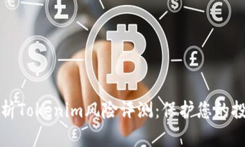 深入解析Tokenim风险评测：保护您的投资安全