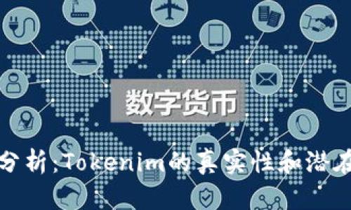 深入分析：Tokenim的真实性和潜在风险