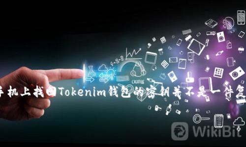 jianjieTokenim钱包是一个安全便捷的数字货币钱包，支持多种数字资产的管理。用户在使用钱包时，往往需要备份和找回自己的密钥。在手机上找回Tokenim钱包的密钥并不是一件复杂的事情，但需要用户按照一定的步骤进行操作。本文将详细介绍如何找回Tokenim钱包的密钥，以及相关的注意事项和常见问题。/jianjie

如何在手机上找回Tokenim钱包的密钥？详细指南和常见问题解答