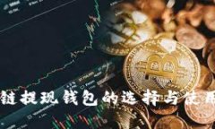 区块链提现钱包的选择与使用指南