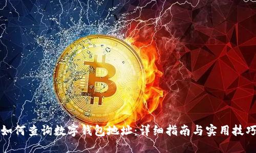 如何查询数字钱包地址：详细指南与实用技巧