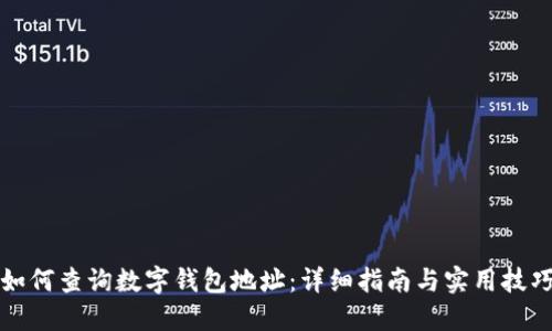 如何查询数字钱包地址：详细指南与实用技巧