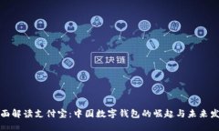 全面解读支付宝：中国数字钱包的崛起与未来发