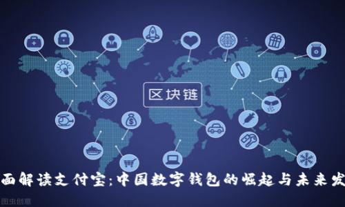 全面解读支付宝：中国数字钱包的崛起与未来发展
