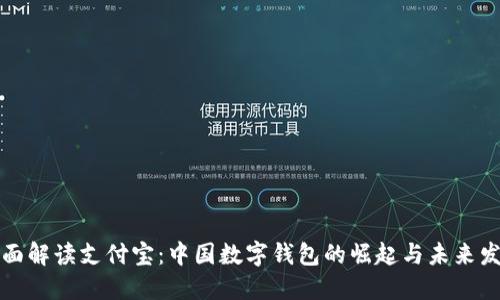 全面解读支付宝：中国数字钱包的崛起与未来发展