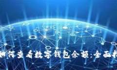 : 如何查看数字钱包余额：全面指南