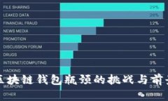 解决区块链钱包瓶颈的挑战与前景探讨