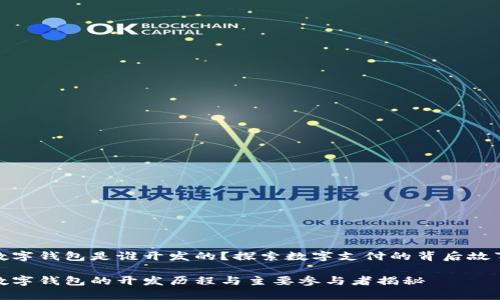 数字钱包是谁开发的？探索数字支付的背后故事

数字钱包的开发历程与主要参与者揭秘