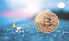   数字钱包助记词完全指南: 保护你的