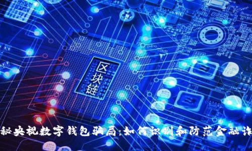 揭秘央视数字钱包骗局:如何识别和防范金融诈骗