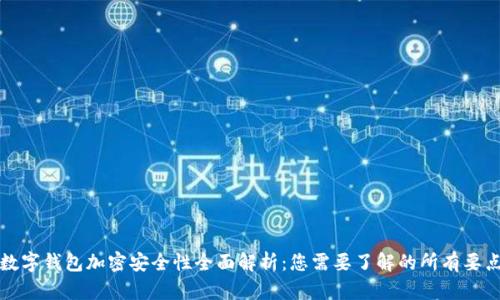 数字钱包加密安全性全面解析:您需要了解的所有要点