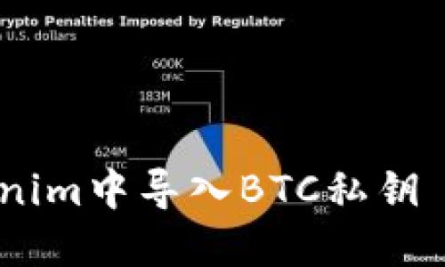 如何在Tokenim中导入BTC私钥 - 完整指南