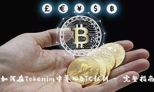 如何在Tokenim中导入BTC私钥 - 完整指南