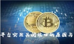 Tokenim平台突然关闭端口的原因与应对