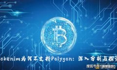 Tokenim为何不支持Polygon: 深入分析与探