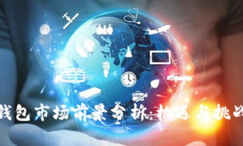 加密钱包市场前景分析:机遇与挑战并存