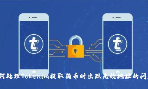 如何处理Tokenim提取狗币时出现无效地址的问题?