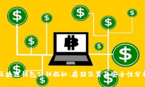 区块链钱包公钥揭秘:存储位置及安全性分析