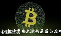   Tokenim提币费用上涨的原因与应对策略