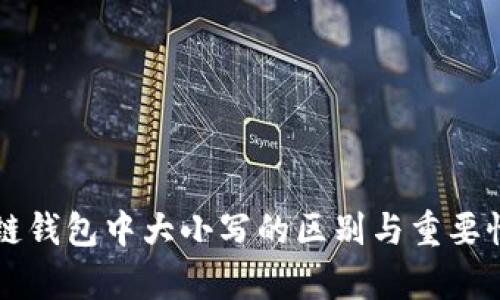 区块链钱包中大小写的区别与重要性解析