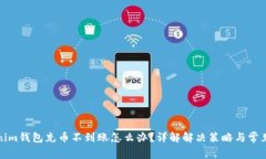 Tokenim钱包充币不到账怎么办？详解解
