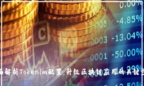 全面解析Tokenim配置：升级区块链应用的关键步骤