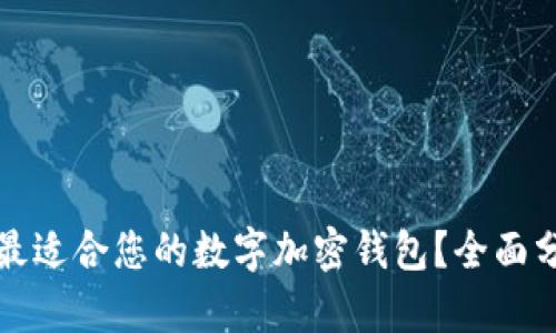 如何选择最适合您的数字加密钱包?全面分析与推荐