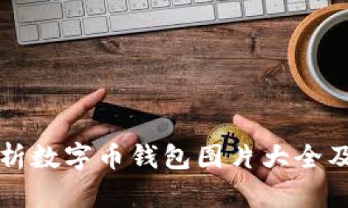 全面解析数字币钱包图片大全及其种类