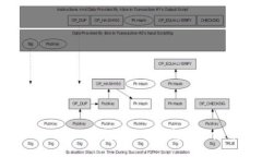 Tokentokenim钱包转账限额解析与使用指南