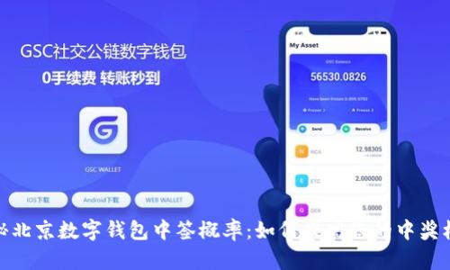 揭秘北京数字钱包中签概率：如何提高您的中奖机会