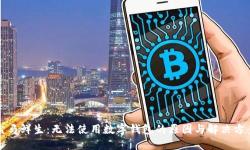 盒马鲜生:无法使用数字钱包的原因与解决方案