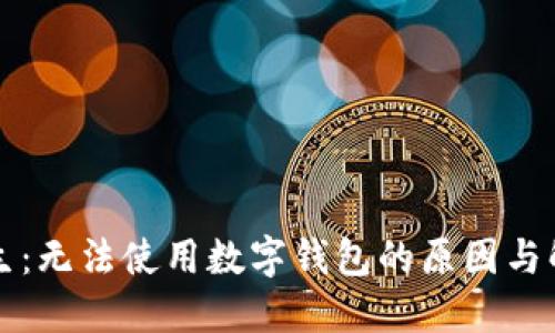 盒马鲜生:无法使用数字钱包的原因与解决方案