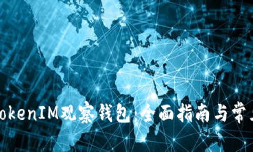 如何使用TokenIM观察钱包：全面指南与常见问题解答