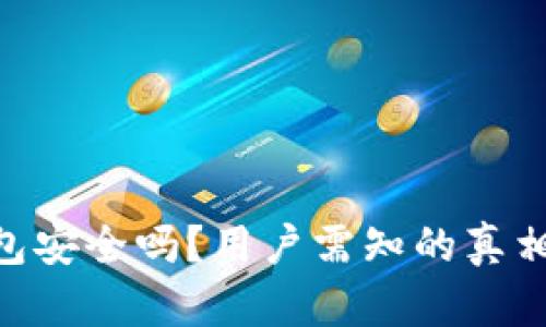 Tokenim钱包安全吗？用户需知的真相与风险分析