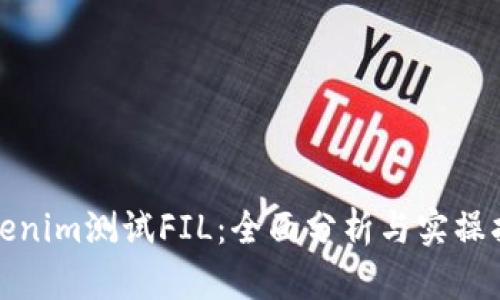 Tokenim测试FIL:全面分析与实操指南