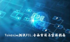 Tokenim测试FIL：全面分析与实操指南