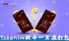 如何解决Tokenim提币一直在打包中的问