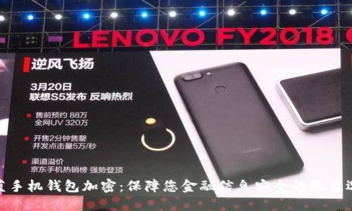 魅蓝手机钱包加密:保障您金融信息安全的最佳选择