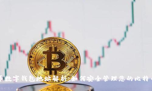 比特币数字钱包地址解析:如何安全管理您的比特币资产
