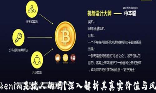 Tokenim是坑人的吗?深入解析其真实价值与风险