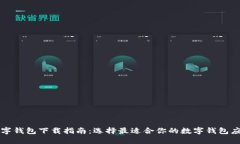 数字钱包下载指南：选择最适合你的数