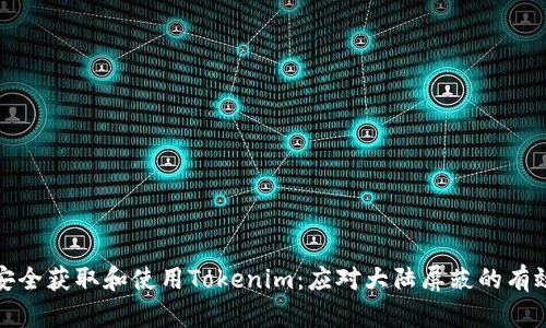 如何安全获取和使用Tokenim:应对大陆屏蔽的有效策略
