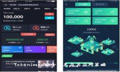 Tokenimox安全隐患及其应对策略