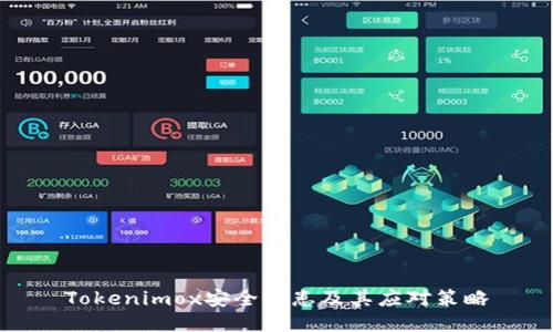 Tokenimox安全隐患及其应对策略