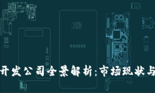 数字钱包开发公司全景解析:市场现状与发展前景